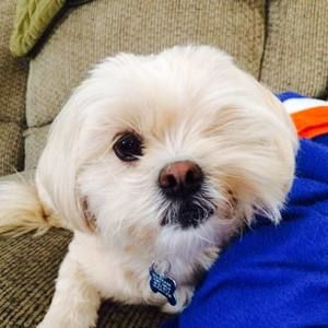 Meet your Posher, Jeanie